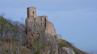 portfolio-lesoeuvresvives-alsaceterredechateauxforts-1