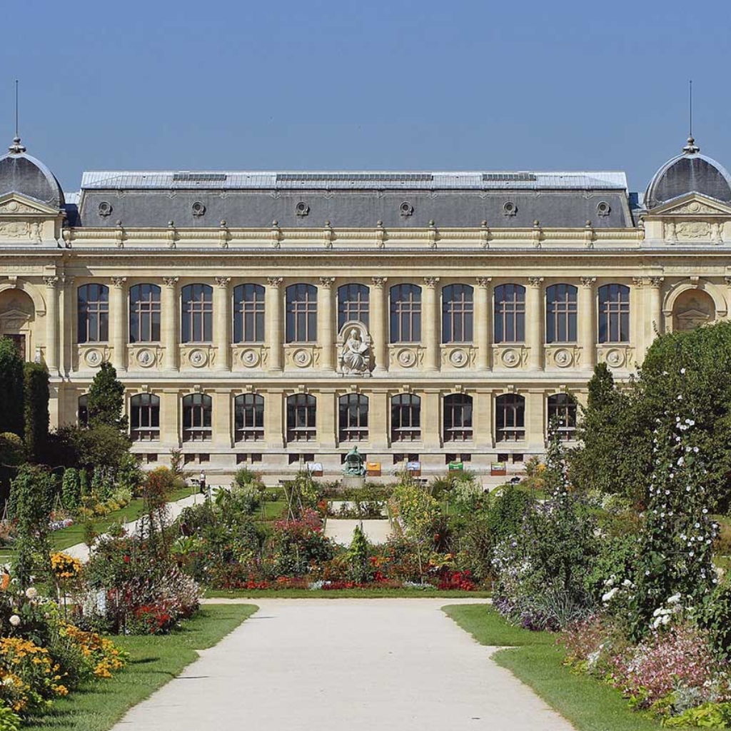 Intervention des Œuvres Vives pour le Muséum National d’Histoire Naturelle