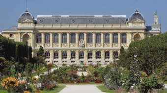 Intervention des Œuvres Vives pour le Muséum National d’Histoire Naturelle