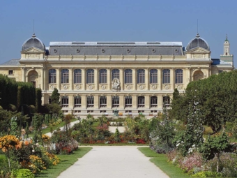 Intervention des Œuvres Vives pour le Muséum National d’Histoire Naturelle